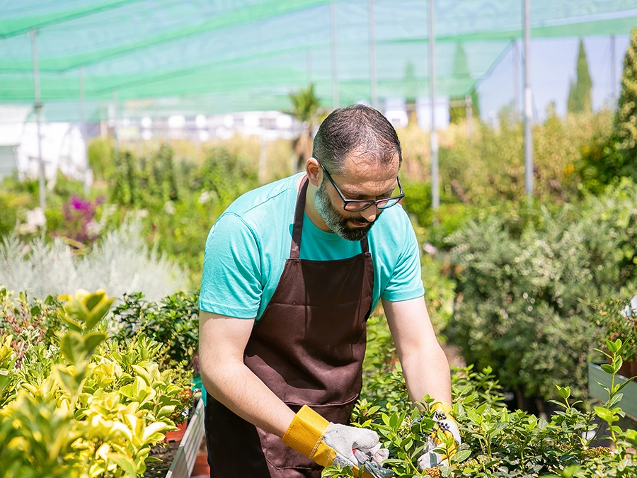 Landscaping Marketing